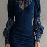 Serelinne – Vintage puff sleeve – Mini dress