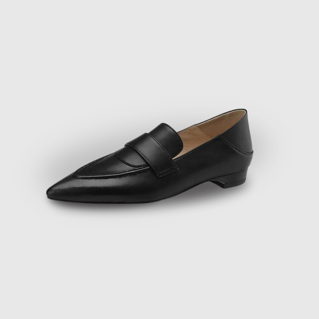 ELEGANT LOW HEEL POINTED SHOES