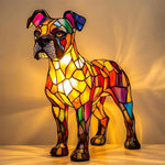 Splendid Boxer